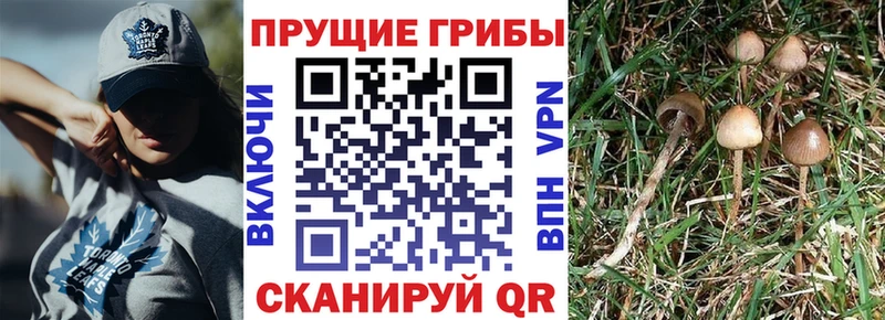 Галлюциногенные грибы ЛСД  где можно купить наркотик  hydra   даркнет телеграм  Балабаново 